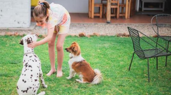 Vindoux Guest Farm & Spa