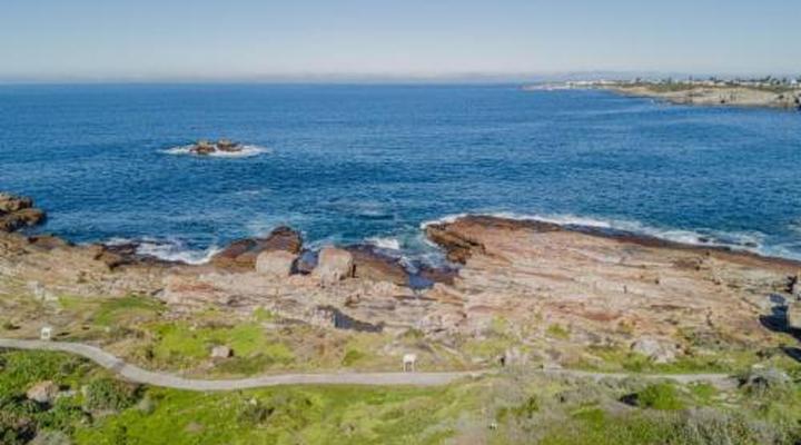 74 on Marine – Apartment 102