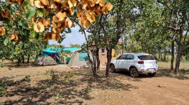 Nyani Lodge Dinokeng