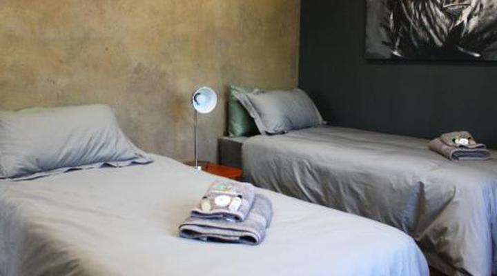 Wilgeboomsdrift Safaris