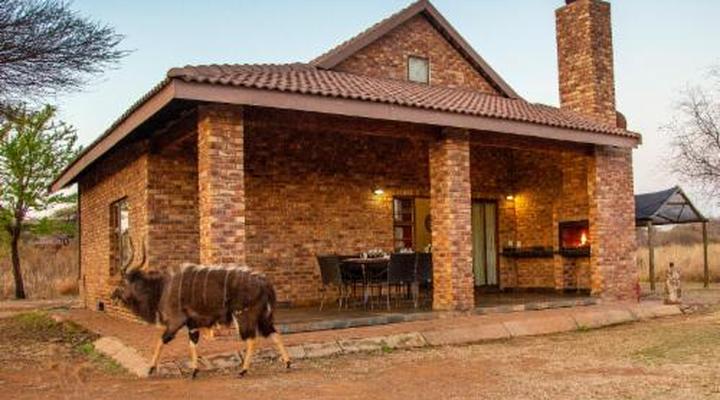 Sondela Nature Reserve & Spa Chalets