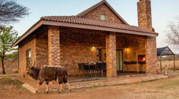 Sondela Nature Reserve & Spa Chalets