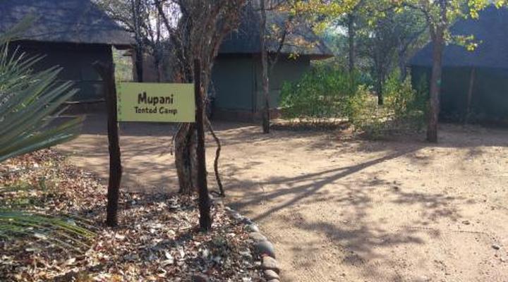 Nthakeni Bush & River Camp