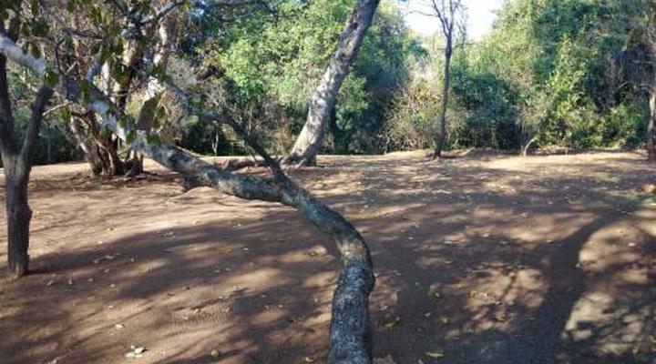 Nthakeni Bush & River Camp