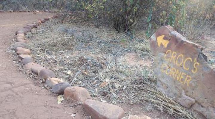 Nthakeni Bush & River Camp