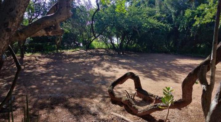 Nthakeni Bush & River Camp