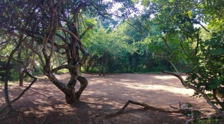 Nthakeni Bush & River Camp