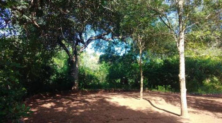 Nthakeni Bush & River Camp