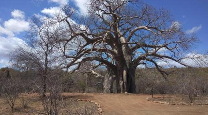 Nthakeni Bush & River Camp