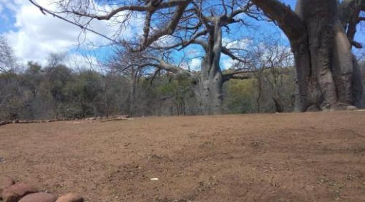 Nthakeni Bush & River Camp