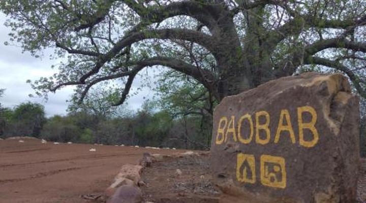 Nthakeni Bush & River Camp