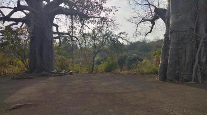 Nthakeni Bush & River Camp