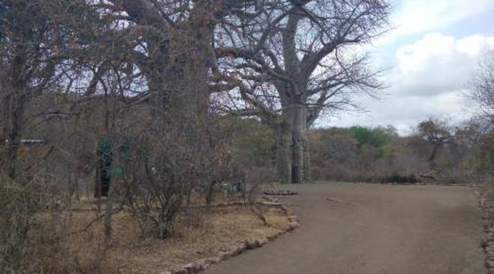 Nthakeni Bush & River Camp