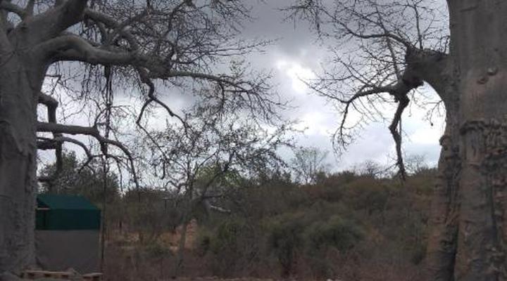 Nthakeni Bush & River Camp