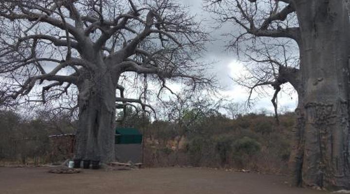 Nthakeni Bush & River Camp