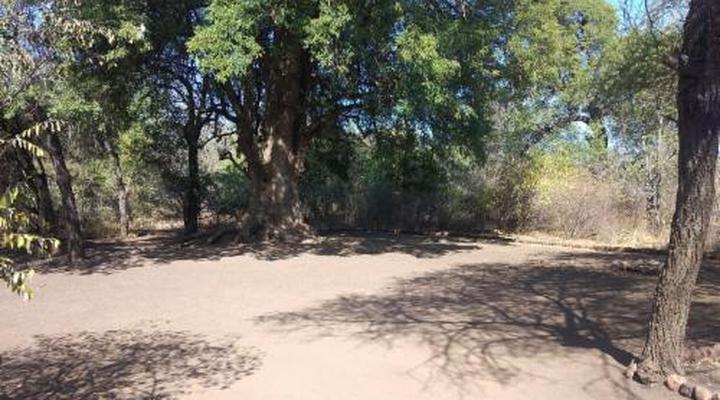 Nthakeni Bush & River Camp