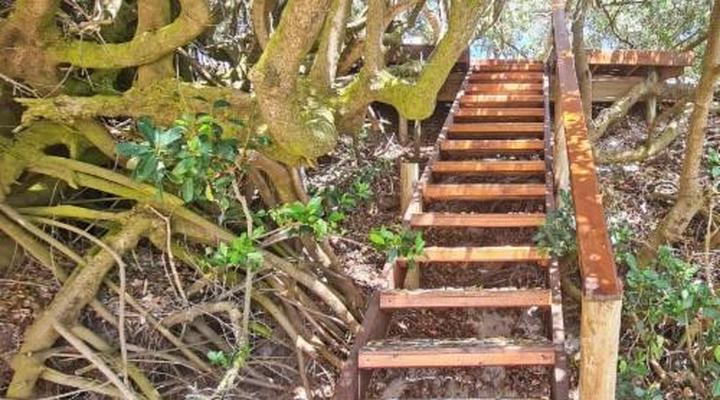 Little Haven 10 & 12