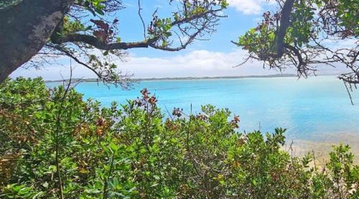 Little Haven 10 & 12