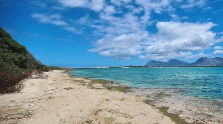 Little Haven 10 & 12