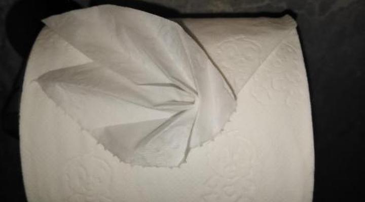 Ashwood Guesthouse: The Ridge