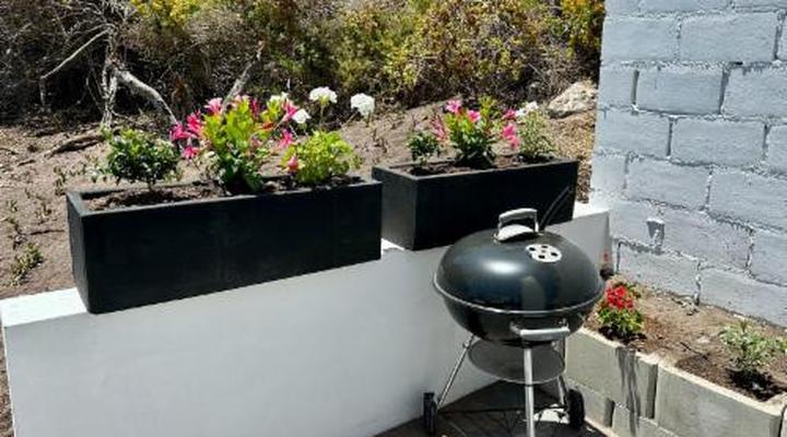 The Cottage at Paradise Found