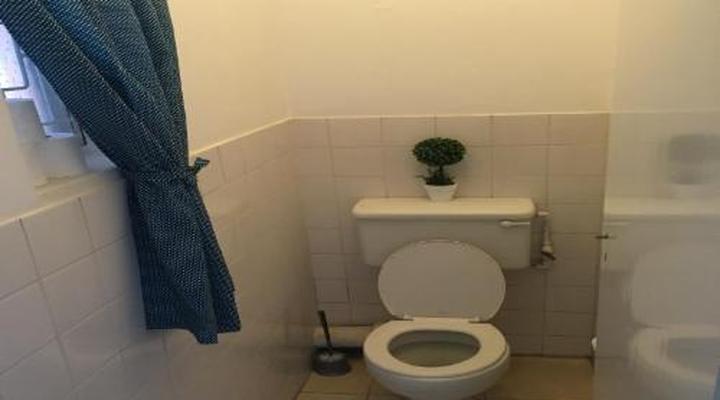 FlipFlops and TreeTops