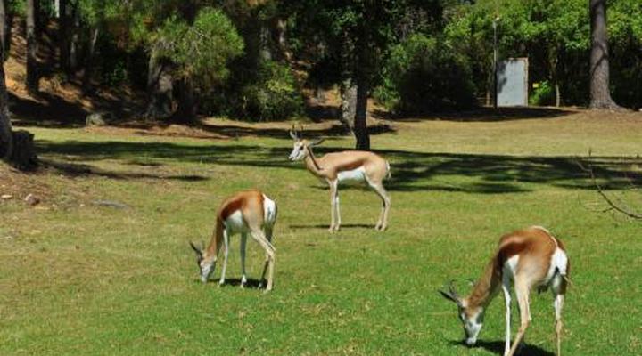 Houtkapperspoort Mountain Cottages
