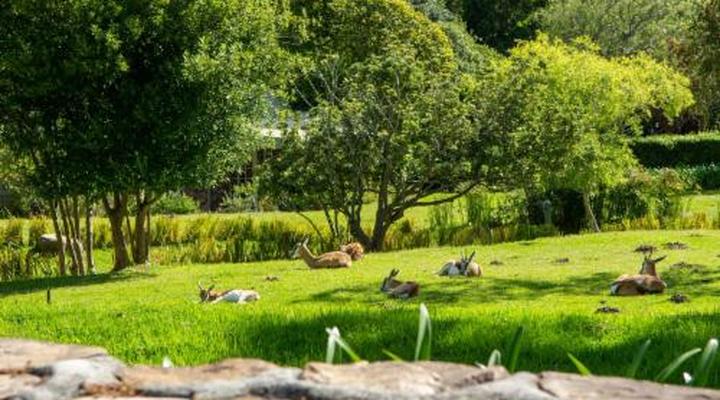 Houtkapperspoort Mountain Cottages