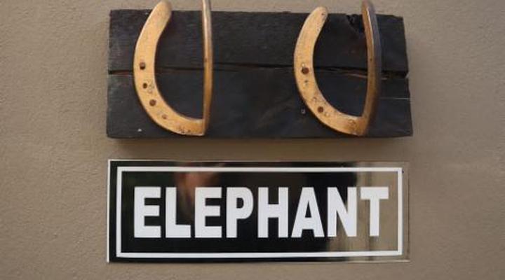 Bosveld In Die Stad 2 Guesthouse