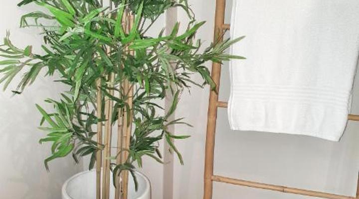 ParkHill Luxury Accommodation