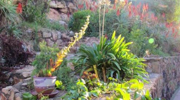 Floracliffe Guesthouse & Events