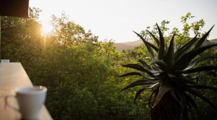 Matatane Camp - Babanango Game Reserve