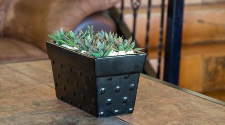 Sondela Nature Reserve & Spa Makhato Lodges