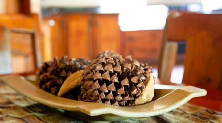 Sondela Nature Reserve & Spa Makhato Lodges