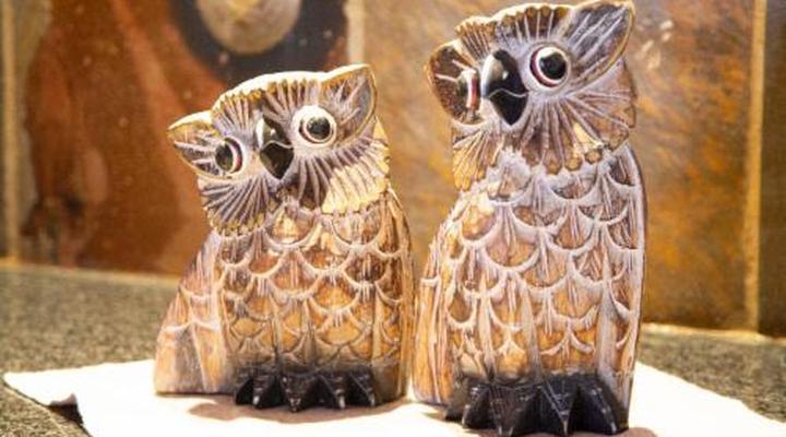 Sondela Nature Reserve & Spa Makhato Lodges