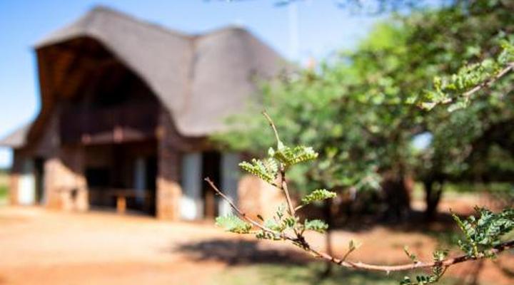 Sondela Nature Reserve & Spa Makhato Lodges
