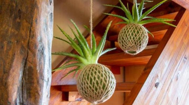 Sondela Nature Reserve & Spa Makhato Lodges