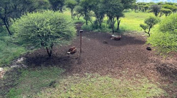 Sondela Nature Reserve & Spa Makhato Lodges