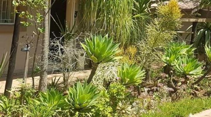 Country Blue Luxury Guest House