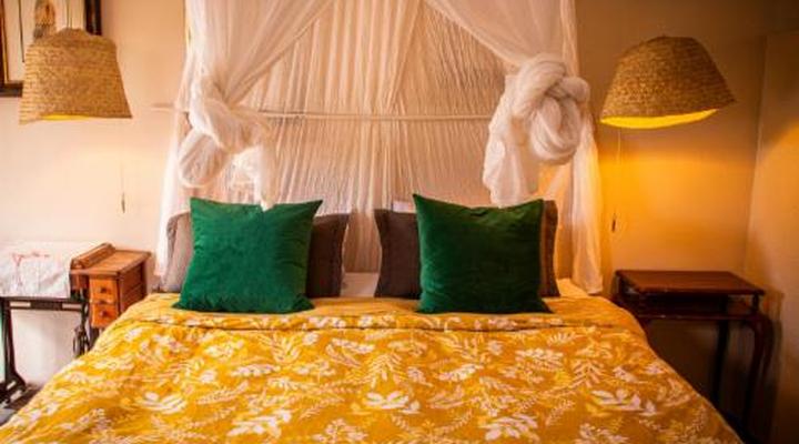 Ebonymoon Guest House & Studio