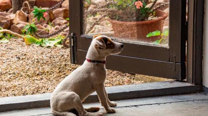 Ebonymoon Guest House & Studio