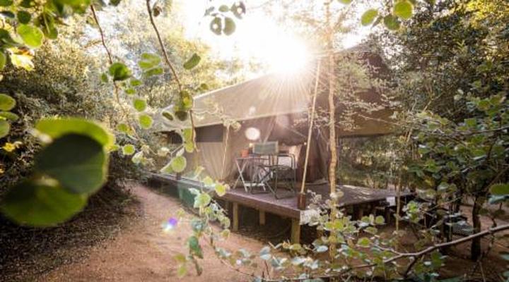 Umkumbe Bush Lodge Luxury Tented Camp