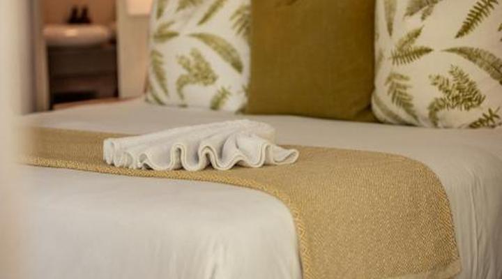 Bush Baby Valley Lodge