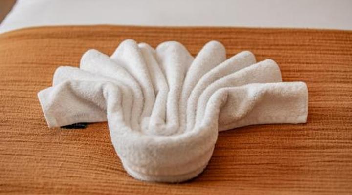 Bush Baby Valley Lodge