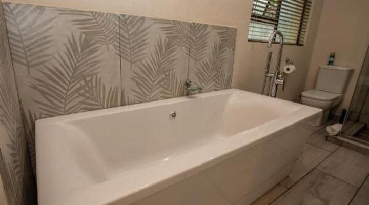 Bush Baby Valley Lodge