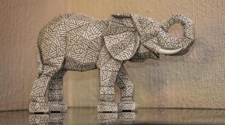 Bush Baby Valley Lodge