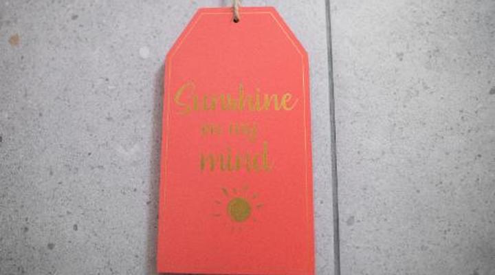 Lyronne Guesthouse Shuttle and Tours