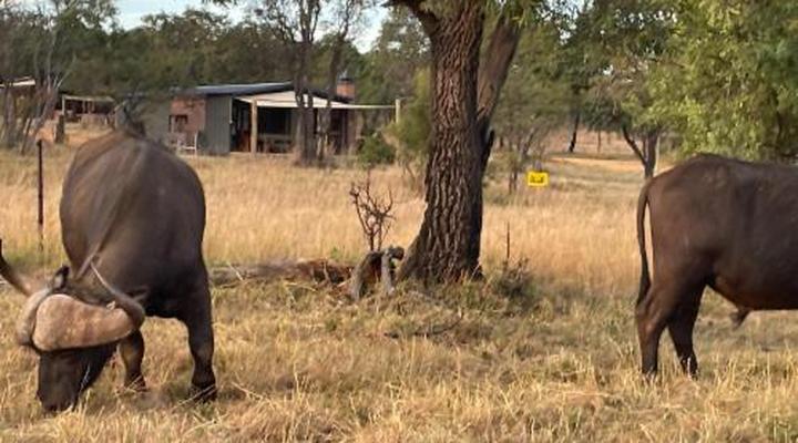 Newburg Lodge & Luxury Bush Tents