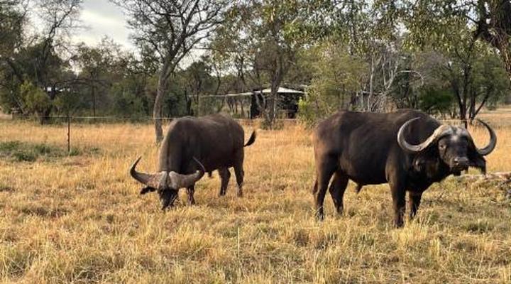 Newburg Lodge & Luxury Bush Tents