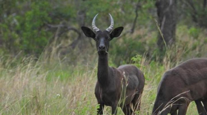Newburg Lodge & Luxury Bush Tents